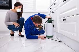 Best Fumigation Services  in Greenland, AR